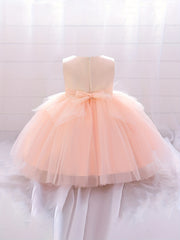 Baby Girl Dress Mesh Bowknot Princess Sleeveless Multicolor Evening Dress