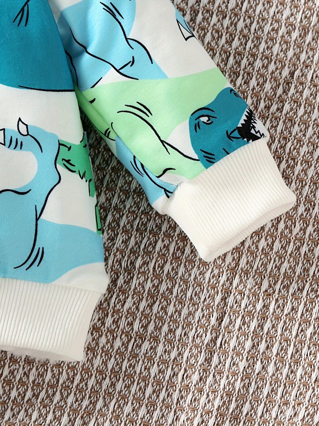 Boy's Dino Graphic Casual Set Toddler Baby Sweatshirt & Pants
