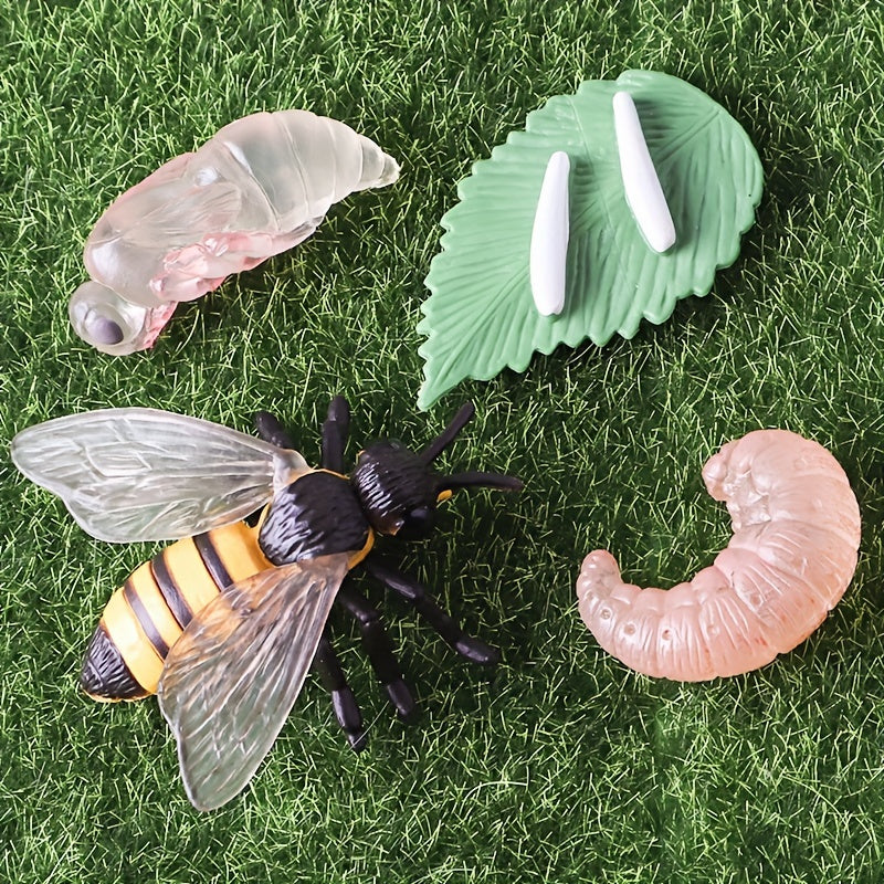 Bee Life Cycle Model Set for Kids' Science Learning