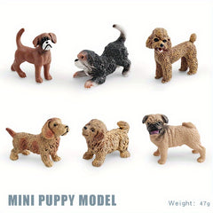 Dog Models Shiba Inu Chihuahua Bulldog Golden Retriever