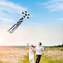 Soccer Ball Kite for Outdoor Entertainment