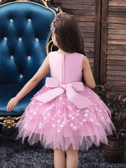 Girls Princess Dress Sleeveless Flower Embroidery Mesh Tutu Dress