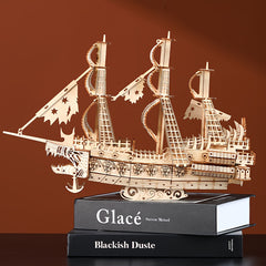 3D Wooden Flying Dutchman Puzzle Toy