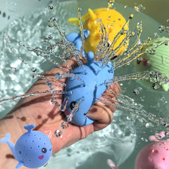Dolphin Playtime for Kids