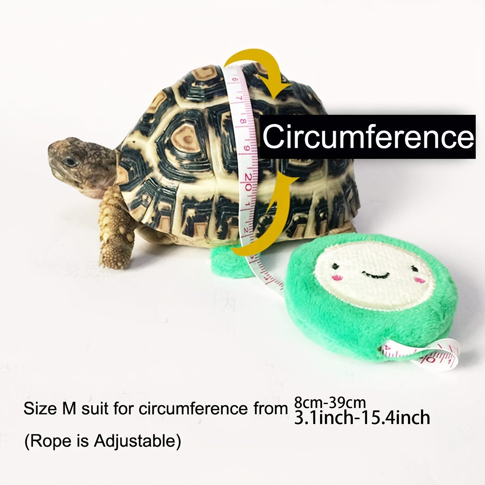 Turtle Leash and Harness Set - Walk Your Tortoise Safely - Essential Supplies