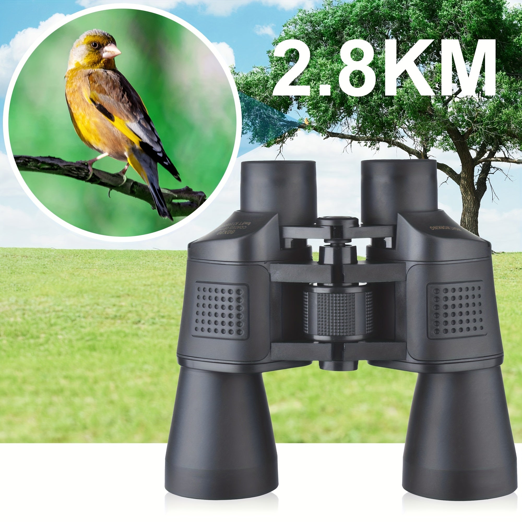 Compact Binoculars for Concerts and Sports Events