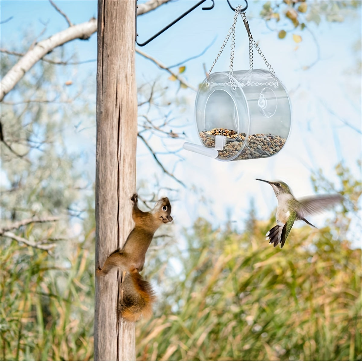 Hanging Bird Feeder with Suction Cup Decoration