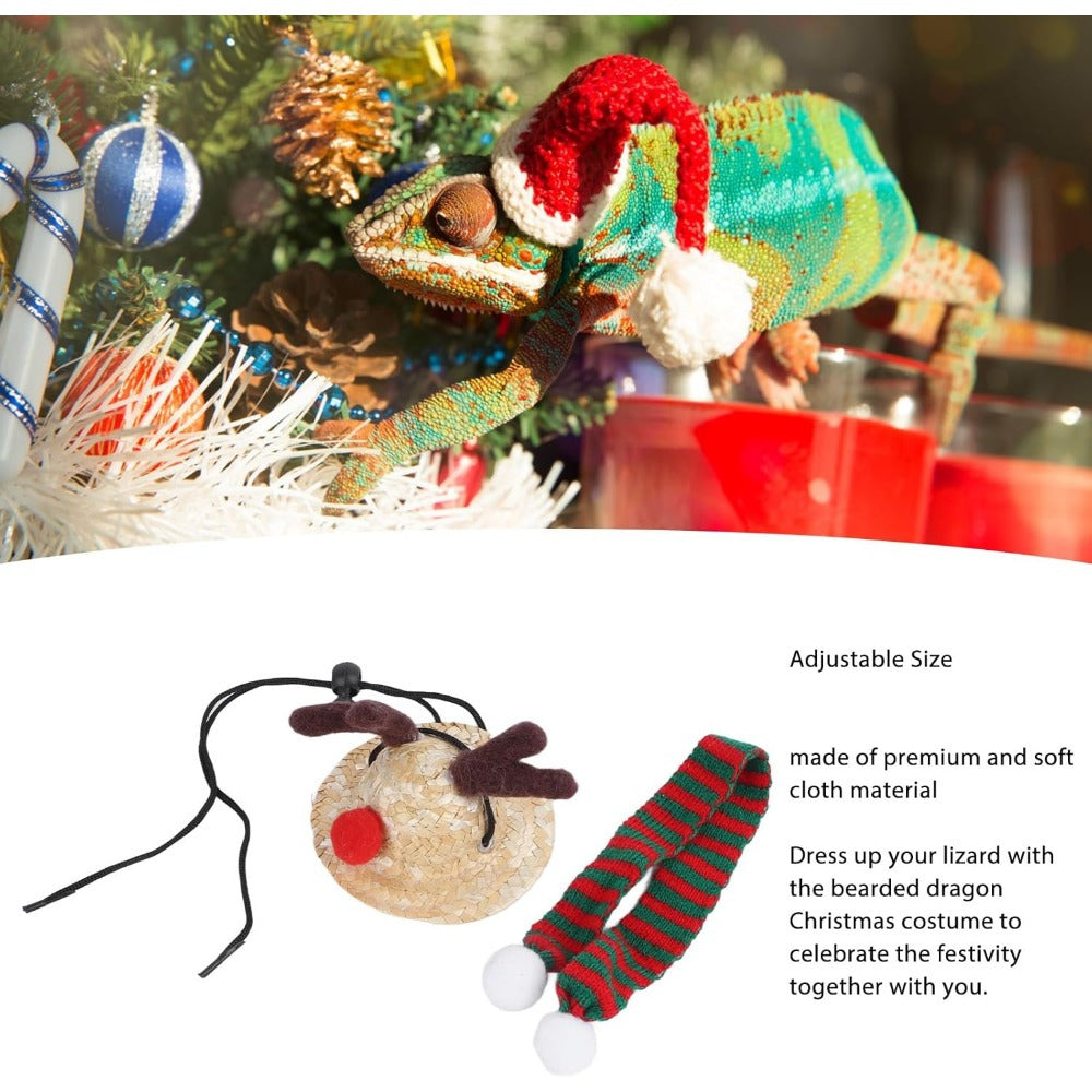 Festive Bearded Dragon Santa Hat with Scarf Christmas Costume