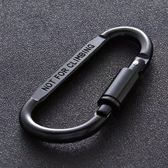 4pcs D-shaped Carabiner Buckle Keychain for Camping Hiking Outdoor