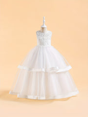 Princess Lace Mesh Fluffy Skirt Dress for Flower Girl