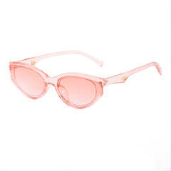 Outdoor Oval Small Frame Sunglasses for Men and Women