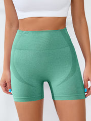 High Waist Running Yoga Sports Shorts Women's Activewear