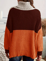 Colorblock Chunky Knit Top - High Neck Long Sleeve