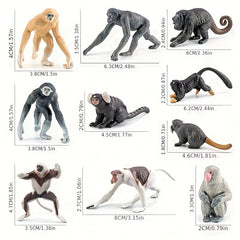 Primate & Oceania Wildlife Model Set Educational Toy