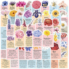 50pcs Flower Language Graffiti Stickers Laptop Helmet Water Cup DIY Sticker Pack