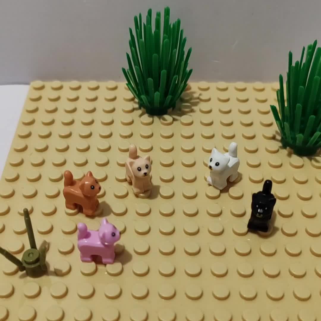 Cat & Small Animal Blocks Set - Fun Farm Playset for Ages 6
