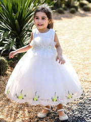 Baby Girl Mesh Embroidered Princess Dress