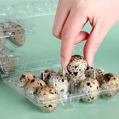 12pcs Quail Egg Packaging Box PET Plastic Holder