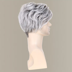 Silver Gray 8 Inch Synthetic Hair Wig With Bangs