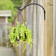 2pcs Wall Hook Plant Bracket - 6