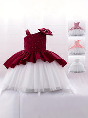Girls Lace Trim Puffy Princess Dress for Wedding Birthday Party