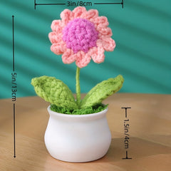 Handmade Crochet Wool Eternal Flower Daisy Tulip Gift