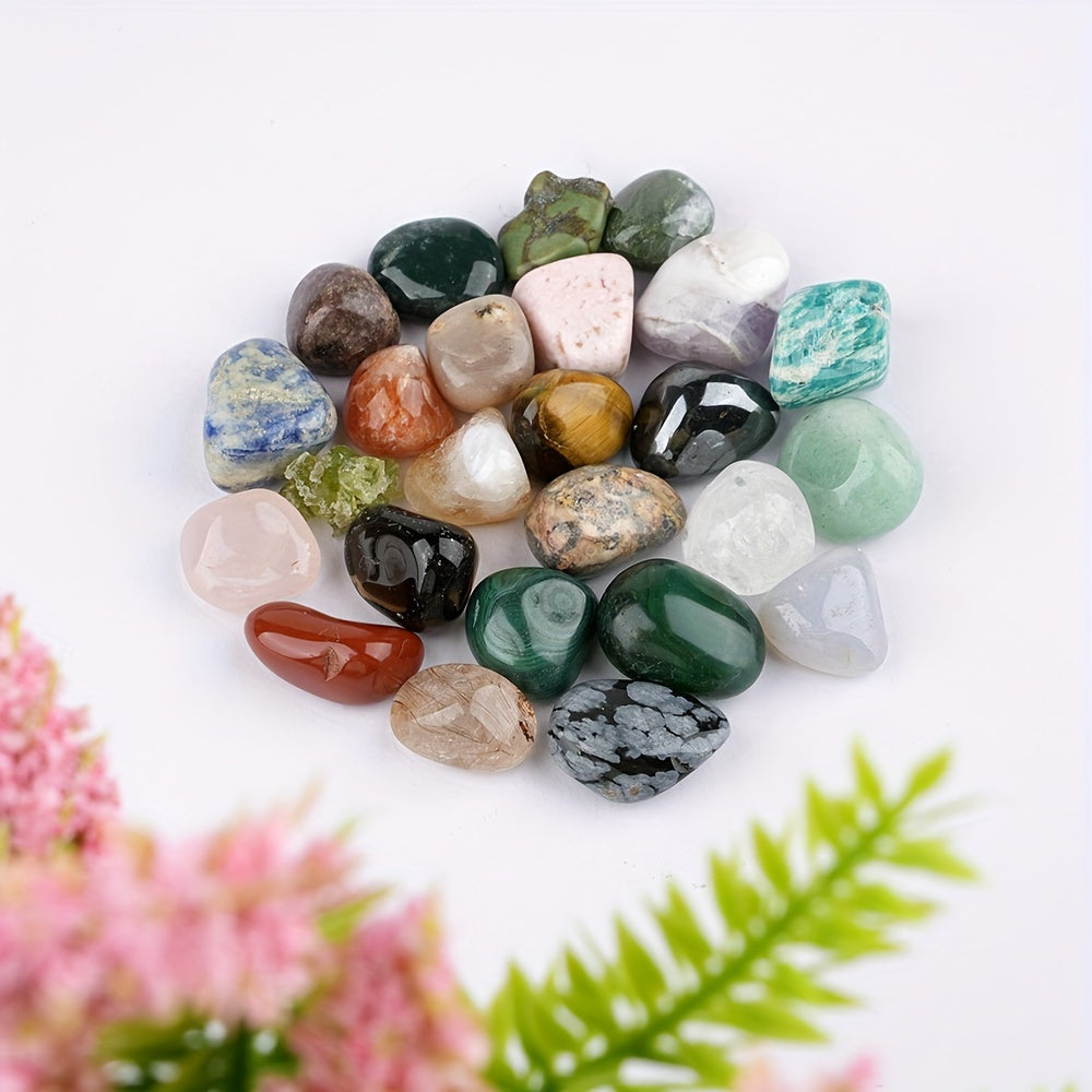 25pcs Rock & Mineral Collection Kit Geology Crystal Stone Fossils Science