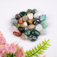 25pcs Rock & Mineral Collection Kit Geology Crystal Stone Fossils Science