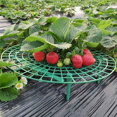 Plant Support Strawberry Support Garden Balcony Planter Green Climbing Pergola