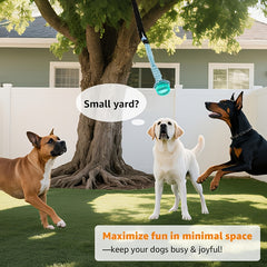 img_4110226