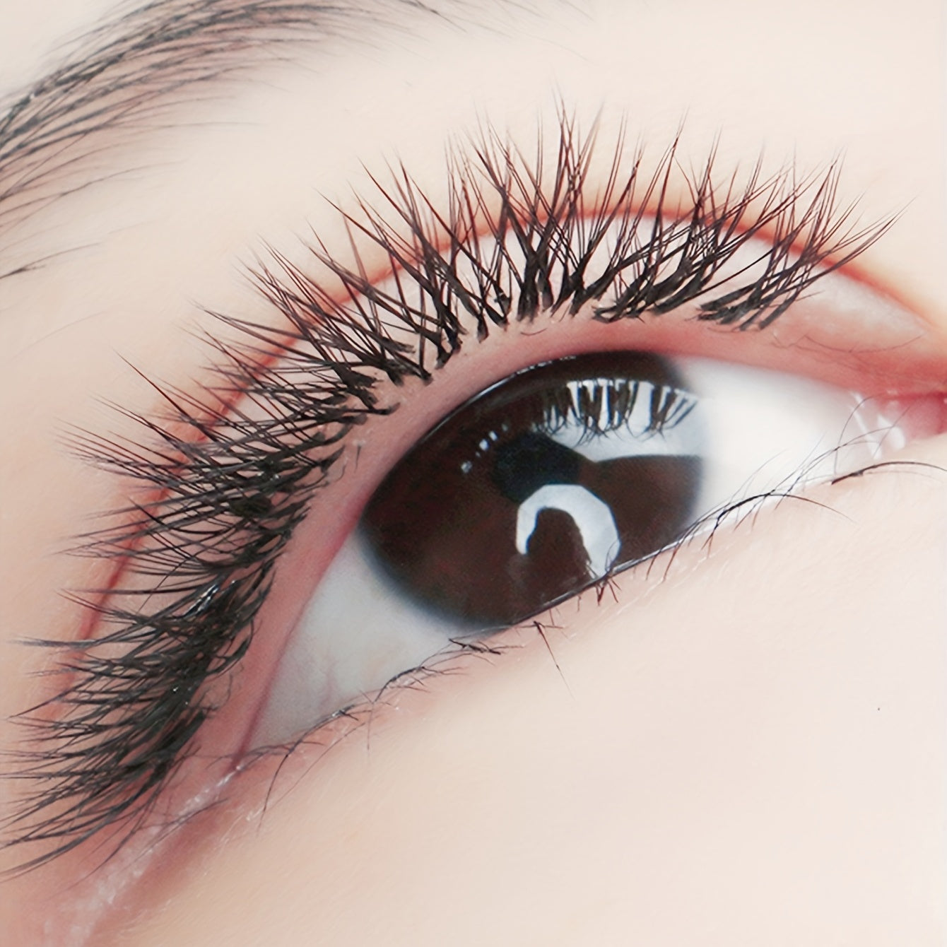 Long Lasting Eyelash Extensions 8-15mm C D DD Curl YY Shape