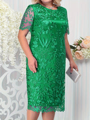 Women's Lace Sleeve Knee Length Dress