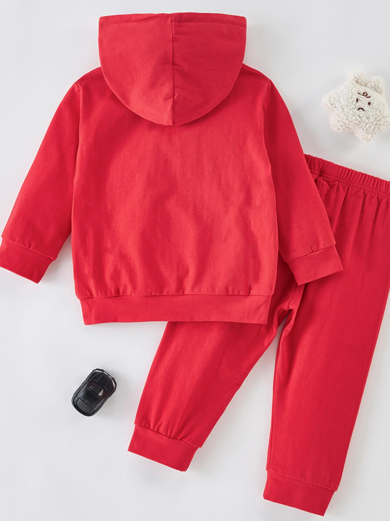 Toddler Boy Hoodie & Jogger Pants Set