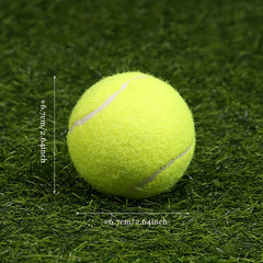 High Elastic Rubber Tennis Balls for Training