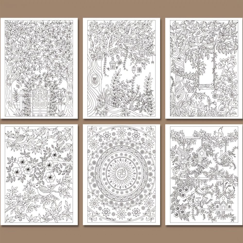 Hidden Garden Adult Coloring Book - Intricate Designs - Relaxing