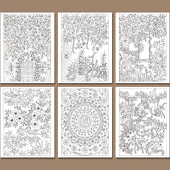 Hidden Garden Adult Coloring Book - Intricate Designs - Relaxing