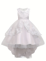 Girls Puffy Princess Dress Sleeveless Beaded Flowers Embroidery Tulle Lace Tutu