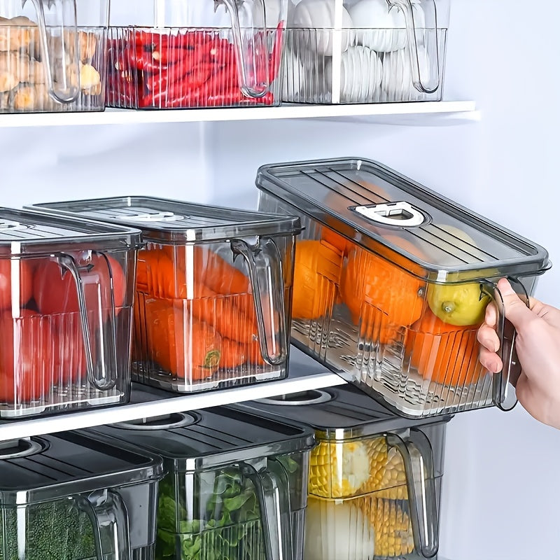 Set of 2 Large Food Storage Containers with Lid and Handle