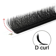 Matte 3D W Individual Lashes for Eyelash Extensions
