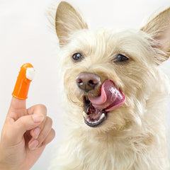 4 Pack Pet Finger Toothbrush Soft Silicone Bristles
