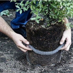 5pcs Root Guards Anti Iron Wire Basket For Plants