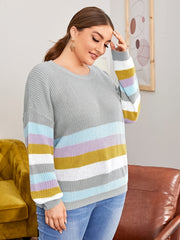 Colorblock Long Sleeve Sweater Women's Plus Casual Pullover Sweater