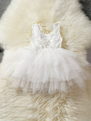Girl's Lace Embroidered Princess Dress