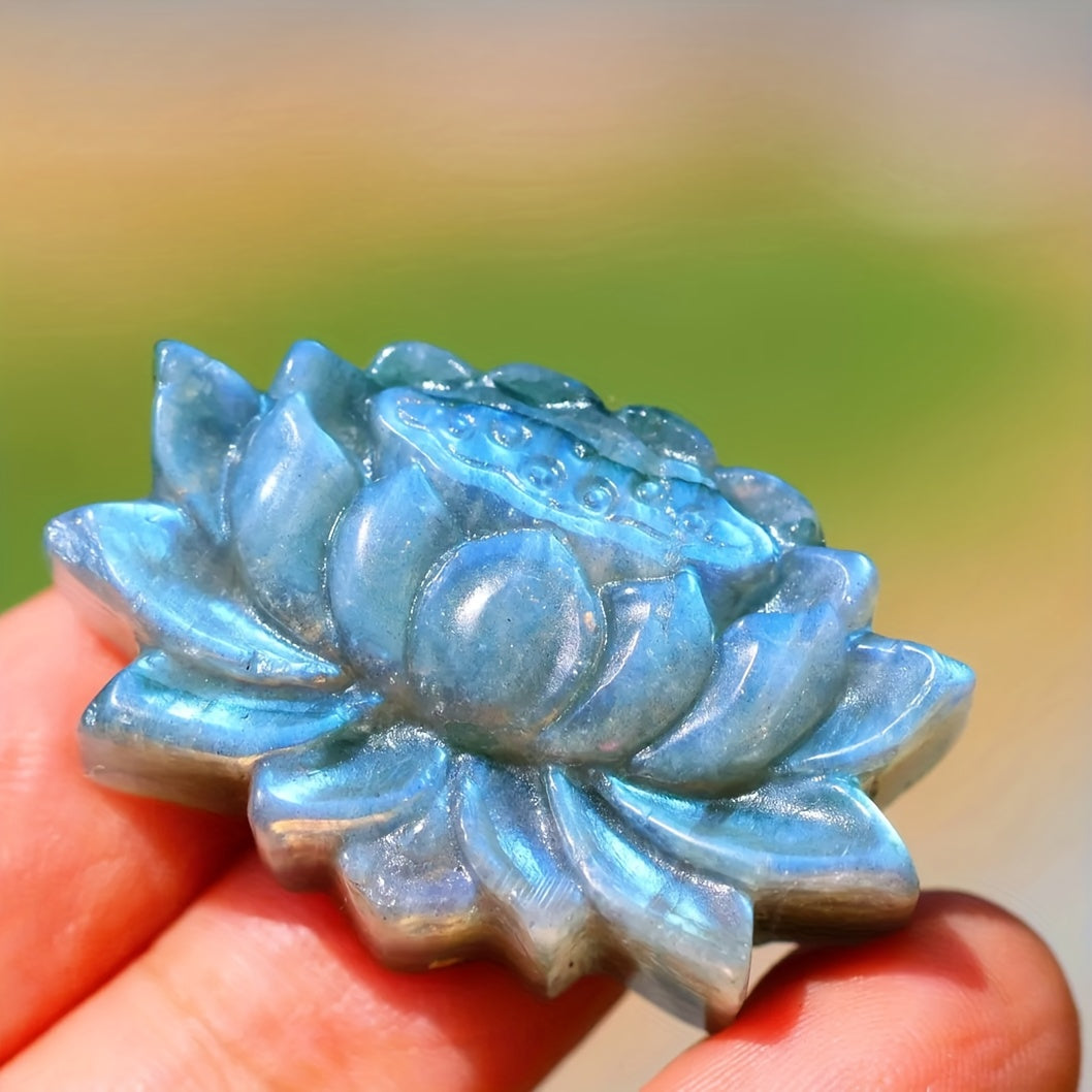 img_4806317