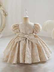 Baby Girls Flower Bowknot Princess Dress Clothes
