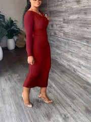 Solid Long Sleeve Cowl Neck Maxi Dress