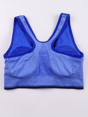 3 Pack Plus Size Front Zipper Padded Sports Bras Set