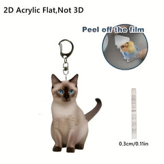 img_5868995