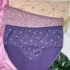 3 Pcs Floral Print Briefs Intimates Panties Women's Underwear