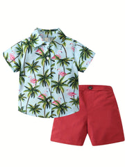 2pcs Boys Flamingo Graphic Print Shirt&Shorts Set
